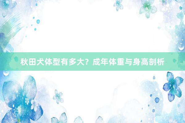 秋田犬体型有多大？成年体重与身高剖析